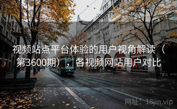 视频站点平台体验的用户视角解读（第3600期），各视频网站用户对比