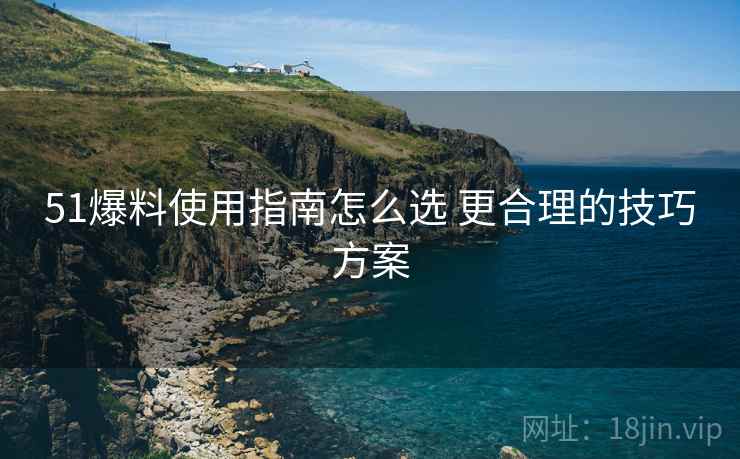 51爆料使用指南怎么选 更合理的技巧方案