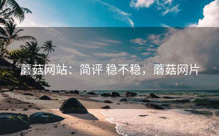 蘑菇网站：简评 稳不稳，蘑菇网片