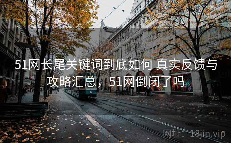 51网长尾关键词到底如何 真实反馈与攻略汇总，51网倒闭了吗