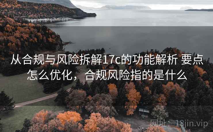 从合规与风险拆解17c的功能解析 要点怎么优化，合规风险指的是什么