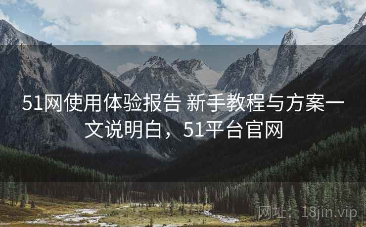 51网使用体验报告 新手教程与方案一文说明白，51平台官网
