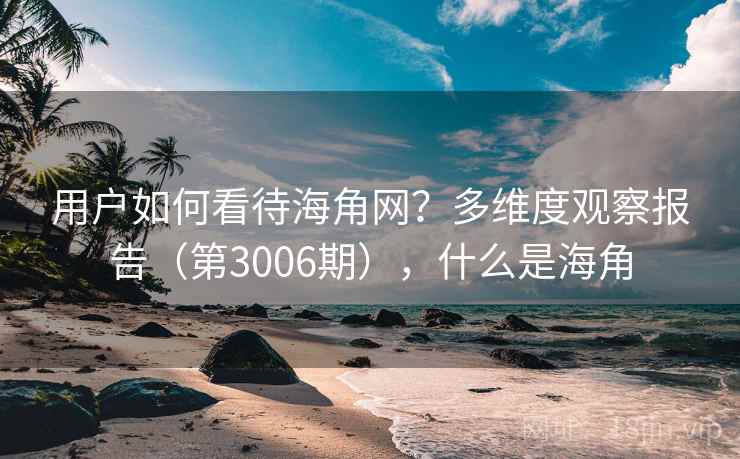 用户如何看待海角网？多维度观察报告（第3006期），什么是海角