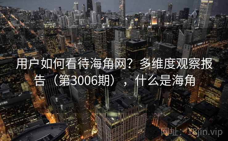 用户如何看待海角网？多维度观察报告（第3006期），什么是海角