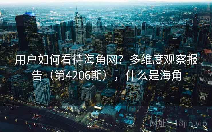 用户如何看待海角网？多维度观察报告（第4206期），什么是海角