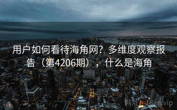 用户如何看待海角网？多维度观察报告（第4206期），什么是海角