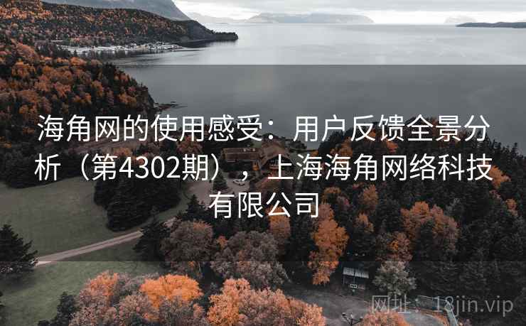 海角网的使用感受：用户反馈全景分析（第4302期），上海海角网络科技有限公司