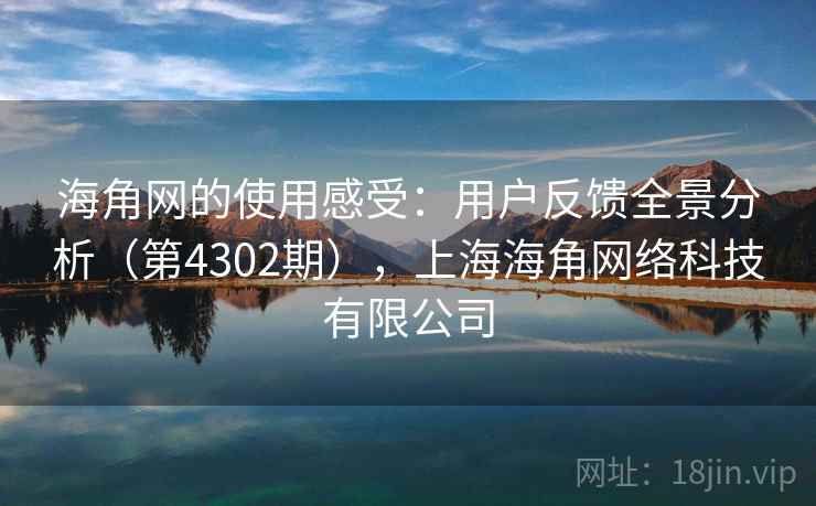 海角网的使用感受：用户反馈全景分析（第4302期），上海海角网络科技有限公司